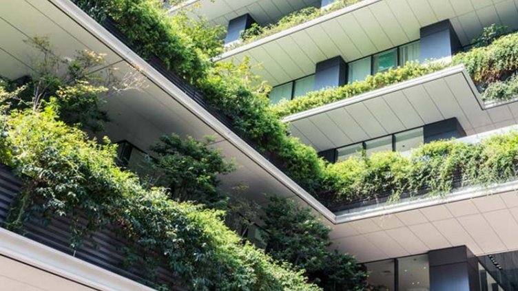 Building with greens on the floors