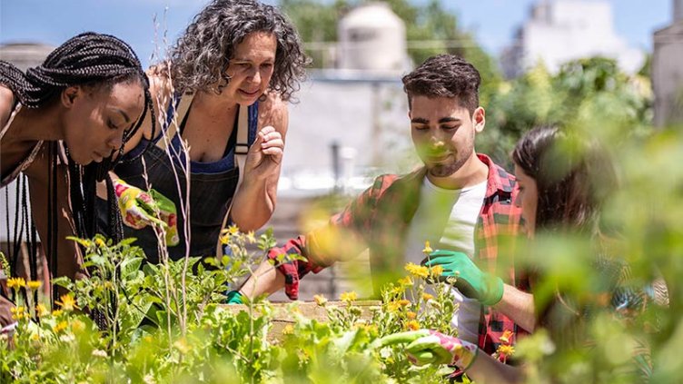 Group of people in a community garden