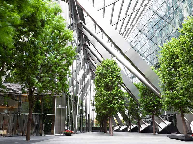 Trees and a glass ceiling